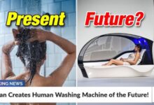 Japan's human washing machine