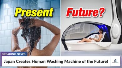 Japan's human washing machine