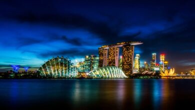 Singapore's Smart Poles: Using Multipurpose Lamp Posts to Revolutionise Urban Infrastructure